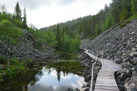 Pyhä-Luosto-Nationalpark